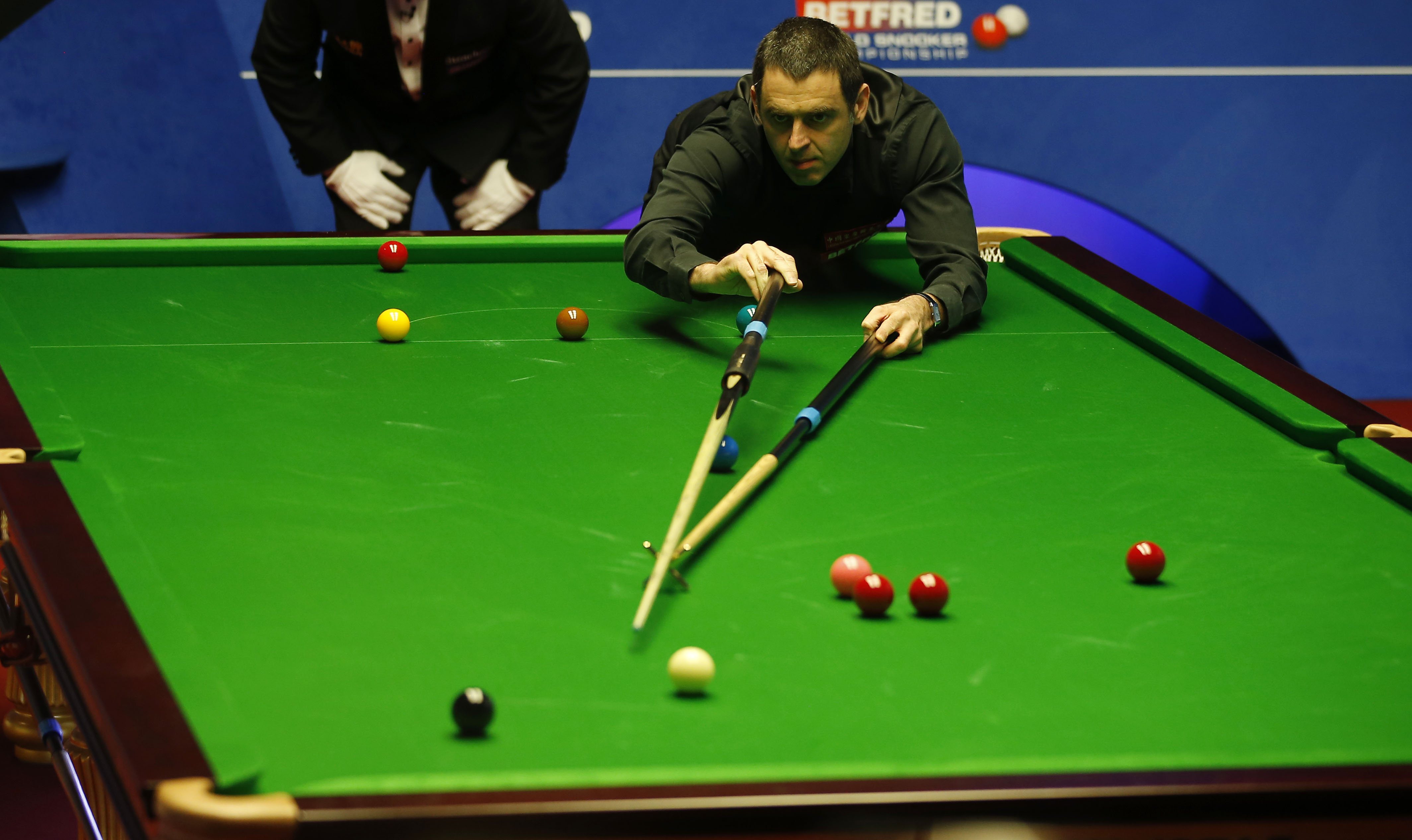 阿密的情感 阿密的情感