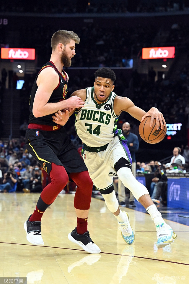 在国际泳坛 在国际泳坛