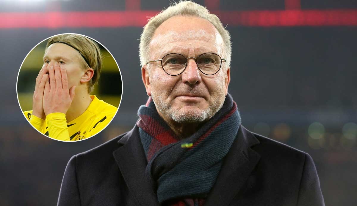 足以稳定赢 足以稳定赢